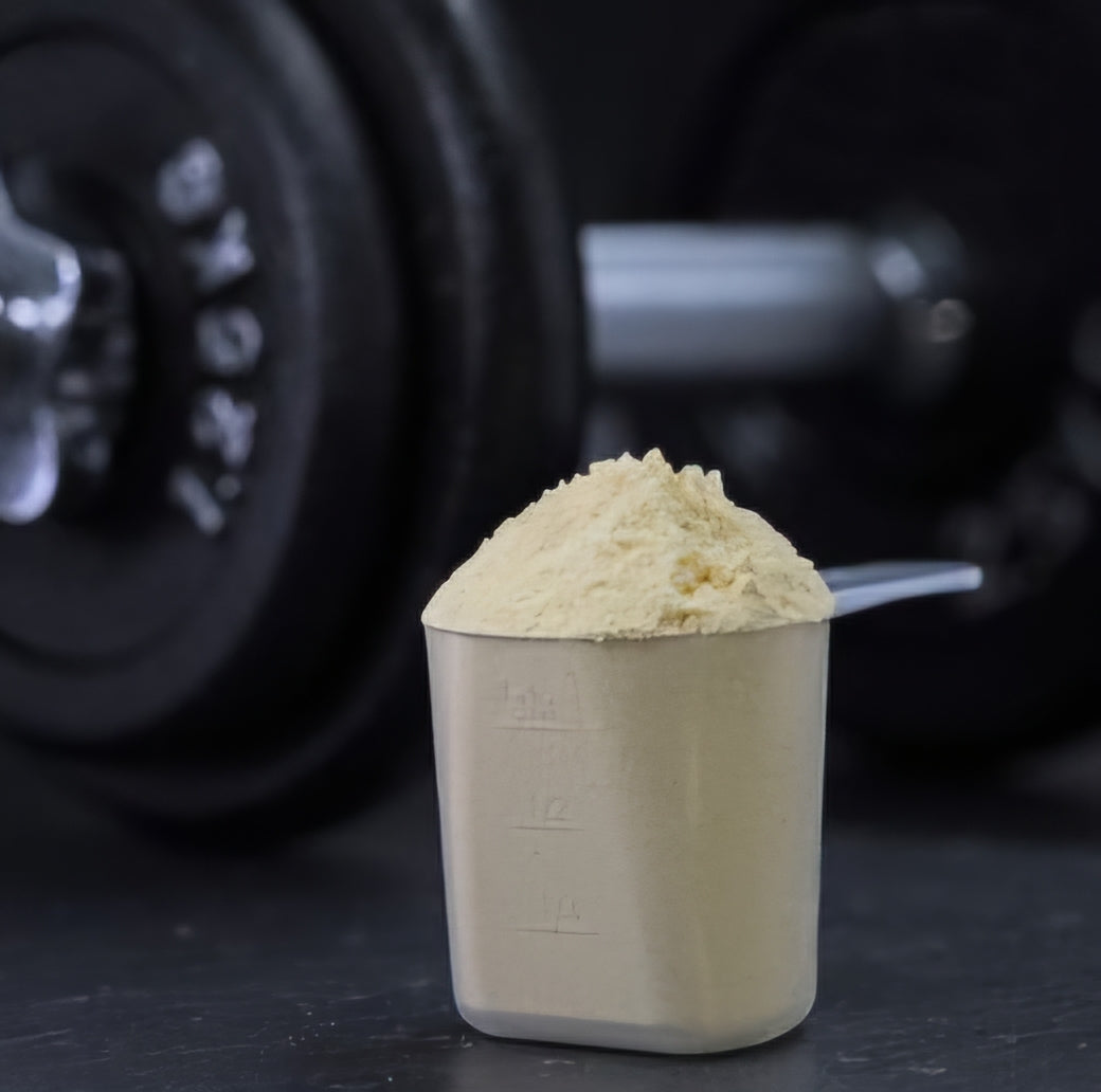 Vegan Protein